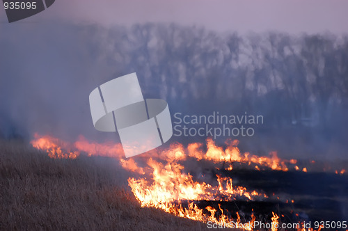 Image of Fire of grass at sunset 