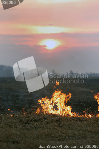 Image of Fire of grass at sunset 