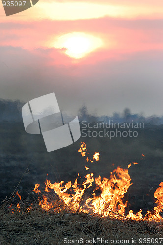 Image of Fire of grass at sunset 