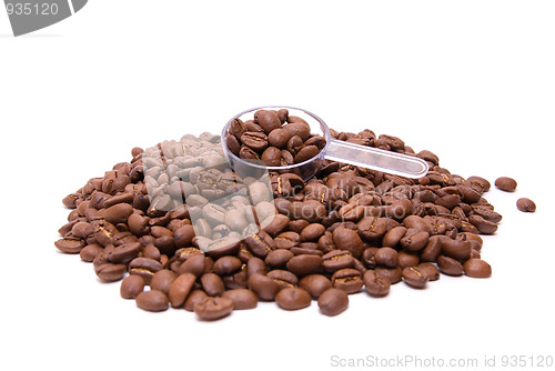 Image of coffee beans