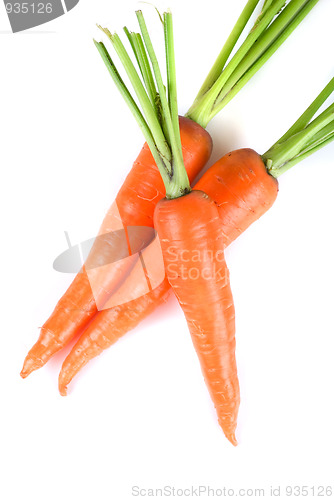 Image of Carrots