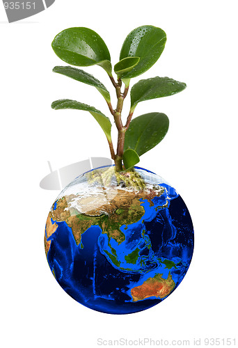 Image of Earth planet with earth