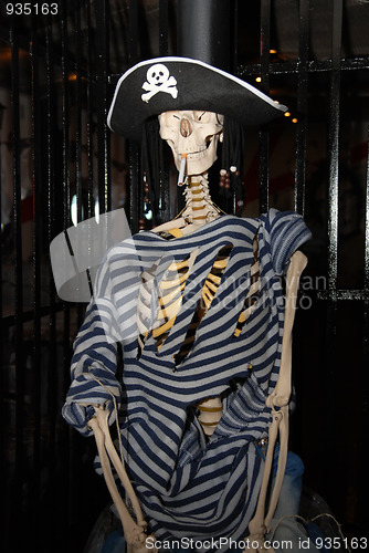 Image of skeleton pirate