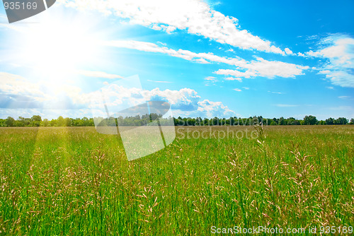 Image of Summer time