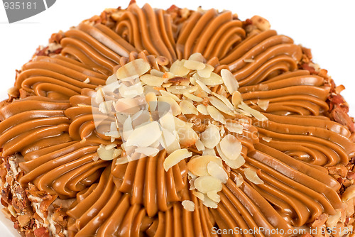 Image of tasty nuts cake