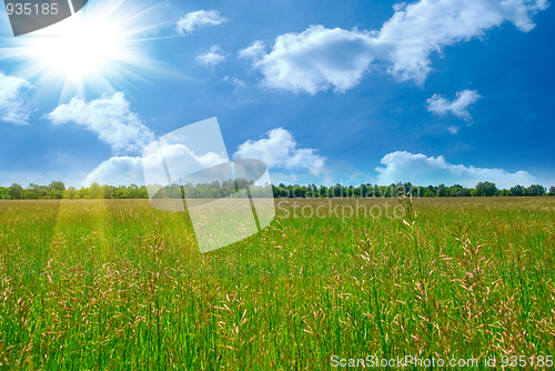Image of Summer time