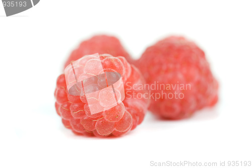 Image of fresh raspberry