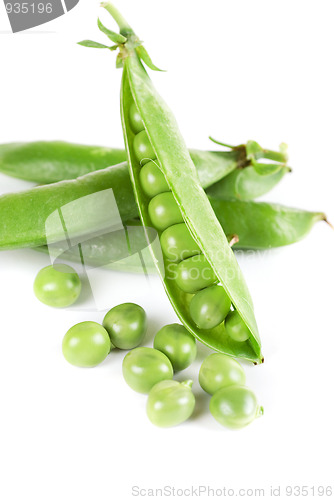 Image of Ripe pea