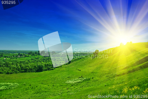 Image of summer landscape