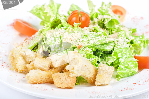 Image of salad of meat, vegetable and dried crust