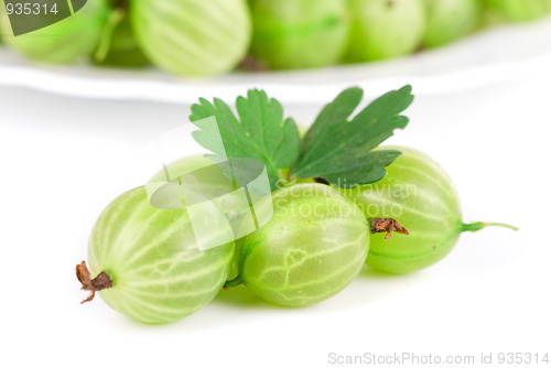 Image of gooseberries