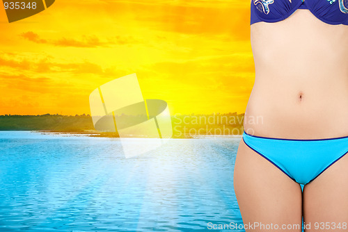 Image of bikini