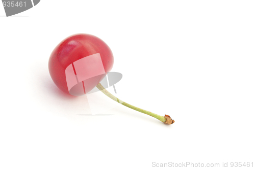 Image of A single ripe cherry isolated on white