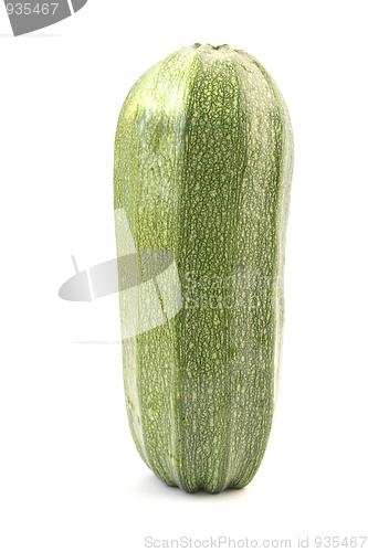 Image of Single green zucchini isolated on white