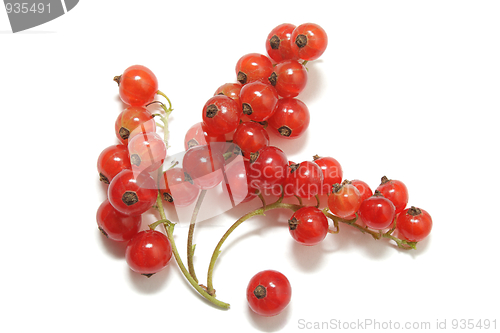 Image of Clusters of ripe red currant isolated on white