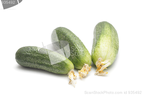 Image of Three cucumbers isolated on white