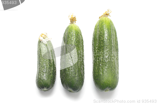 Image of Three cucumbers isolated on white