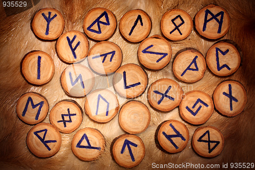 Image of Runes on the fur