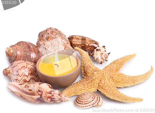 Image of Seashells, starfish and candle