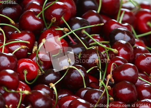 Image of Cherries