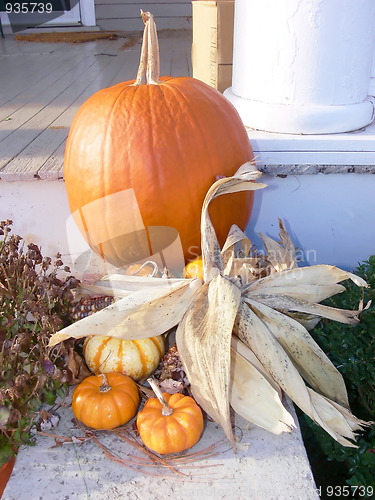 Image of Pumpkin   