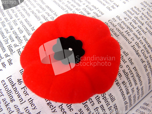 Image of Poppy and Bible