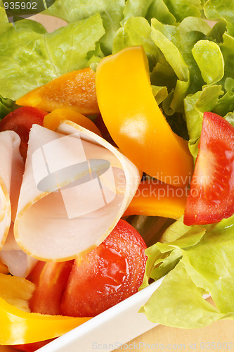 Image of Close-up of a mixed salad with roast turkey