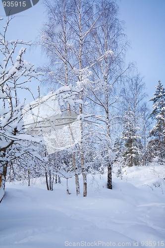 Image of wintertime