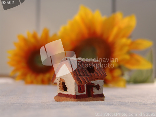 Image of Flowers and ugly house