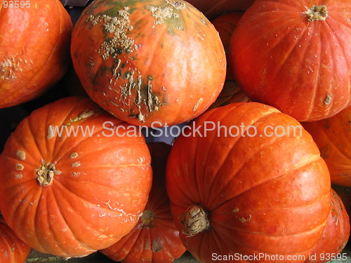 Image of Vedges