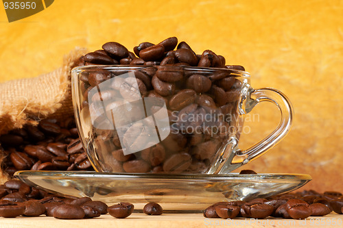 Image of Cup of coffee beans