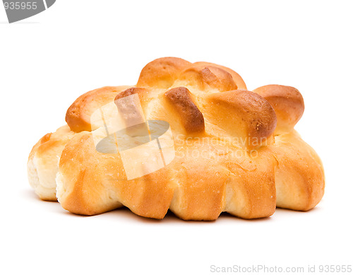 Image of The bun