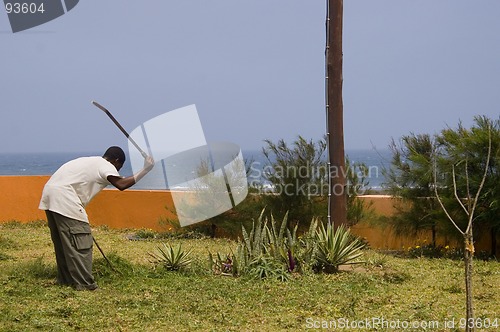 Image of Man cutting grass Mozambique