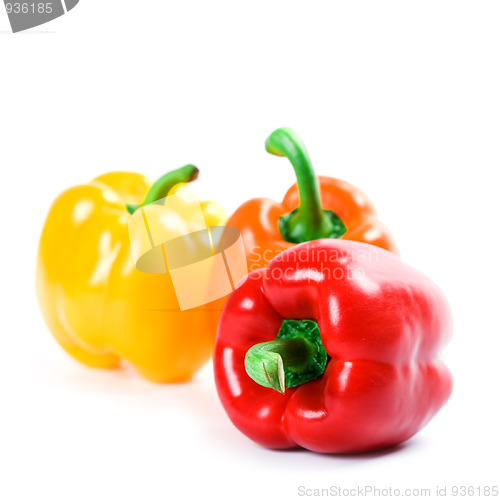 Image of three bell peppers