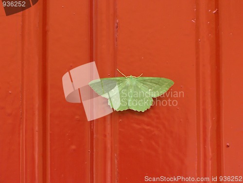 Image of Large Emerald on Red Wall