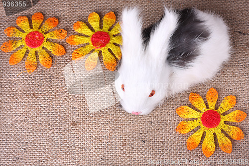 Image of Easter background