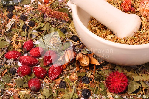 Image of Mortar and pestle with herbs