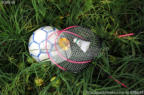 Image of Badminton Rackets and Bird on the Ball