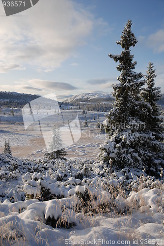 Image of Mountain Snowfall