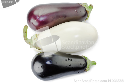 Image of Black and white eggplants isolated on white