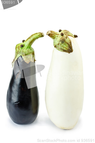 Image of Black and white eggplants as funny puppets isolated on white