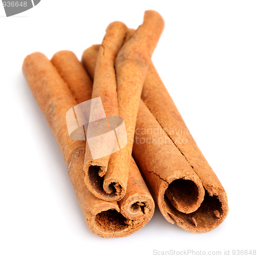 Image of Cinnamon sticks