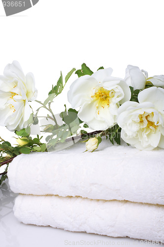 Image of Bath towels