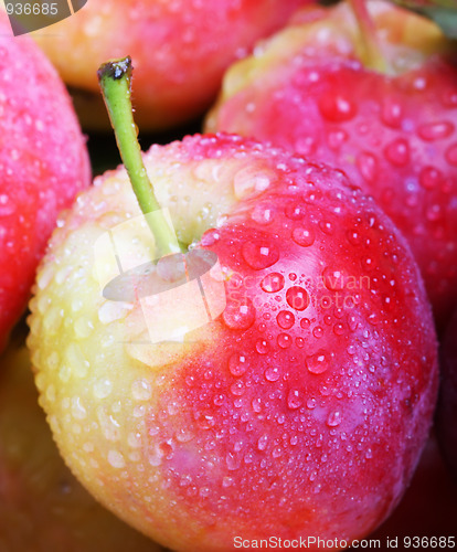 Image of Fresh apples