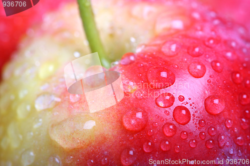 Image of Apple