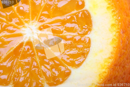 Image of Orange