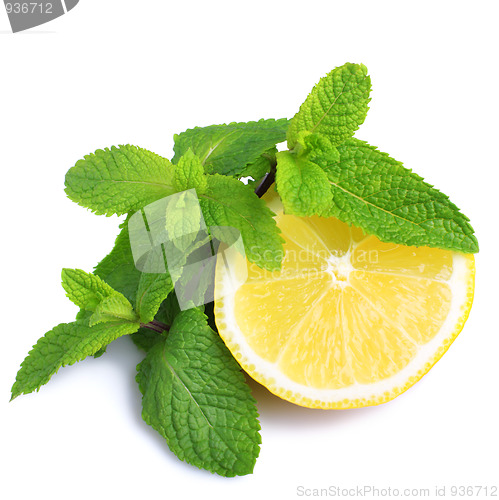 Image of Mint and lemon