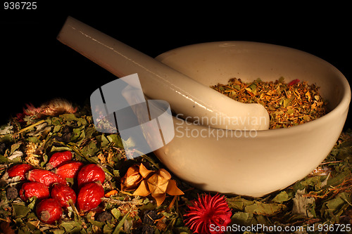 Image of Mortar and pestle with herbs