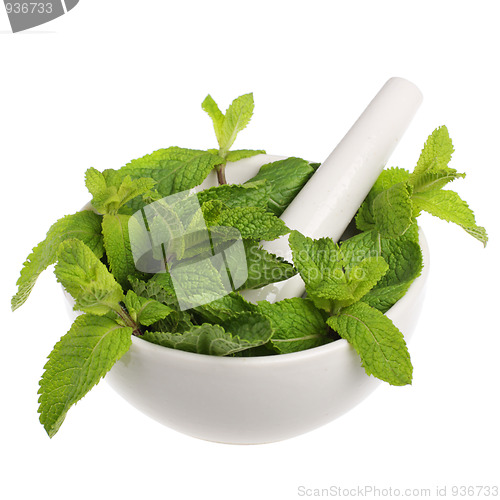 Image of Mortar with mint