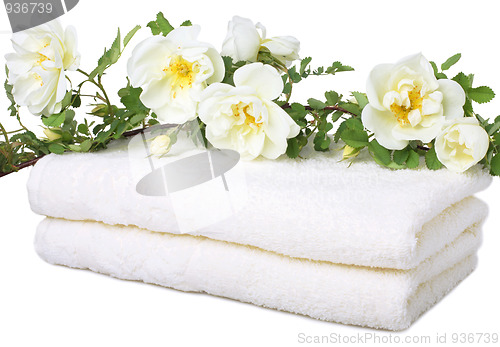 Image of Bath towels